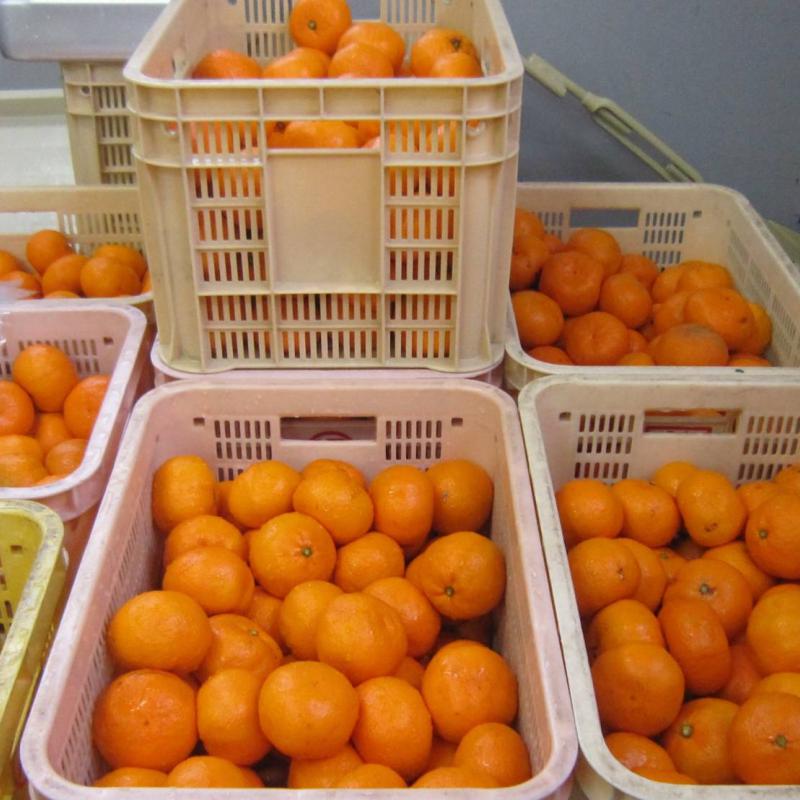 出荷作業